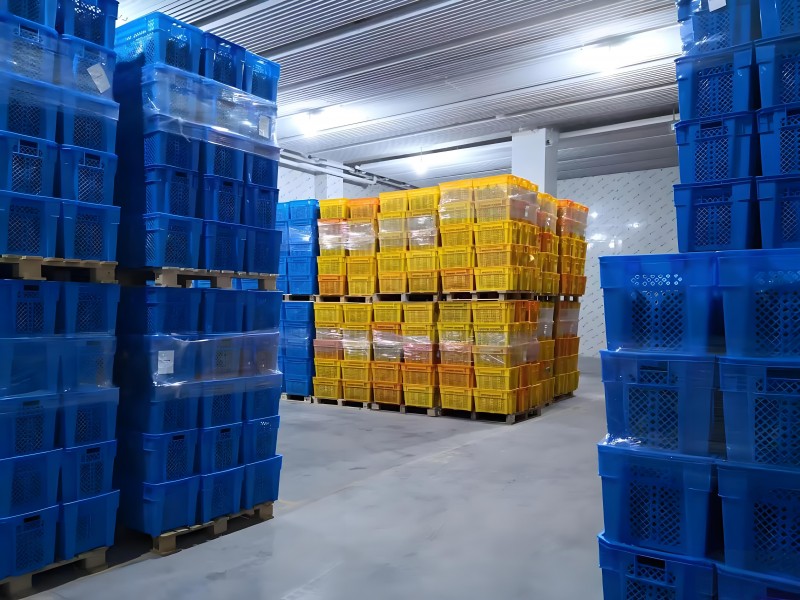 a84da839-53bb-4560-9285-03e0554d5f4a